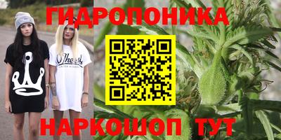 шишки Малоярославец